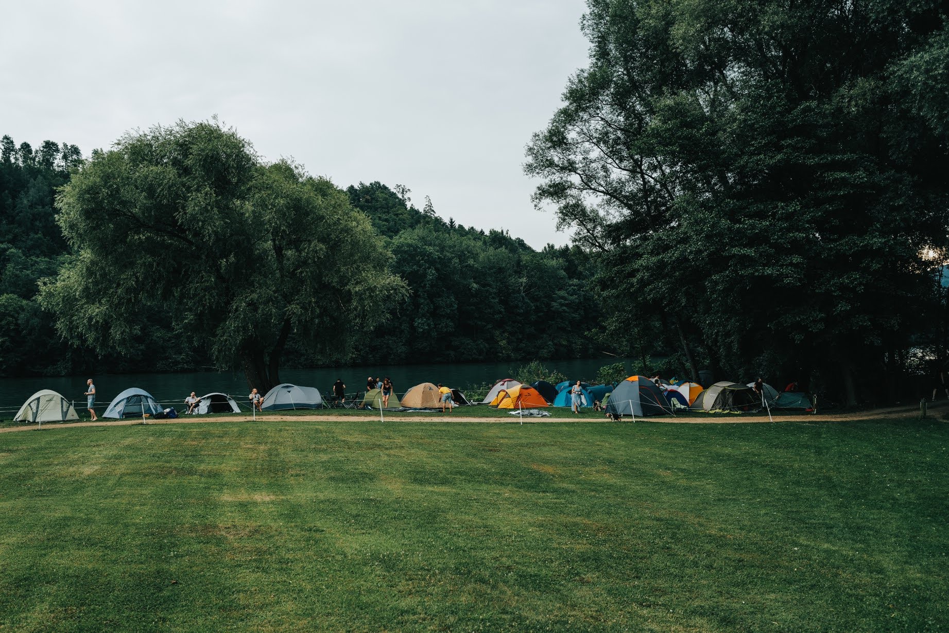 Libelice festival camp